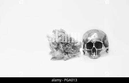 Silber scull Ring mit Blumen, weißen Hintergrund. Stockfoto