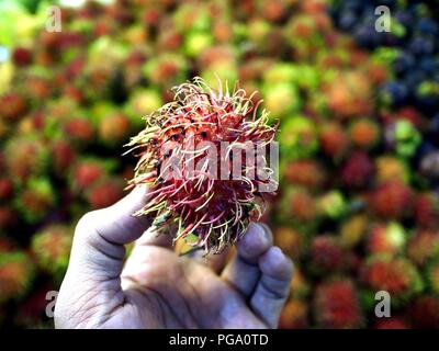 Foto von einer Hand mit einem rambutan Frucht Stockfoto