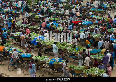 Kanshat mango Bazar, der größten Großhandel mango Markt in Bangladesch. Shibganj, Chapai Nababgonj, Bangladesch. Stockfoto