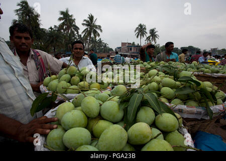 Kanshat mango Bazar, der größten Großhandel mango Markt in Bangladesch. Shibganj, Chapai Nababgonj, Bangladesch. Stockfoto
