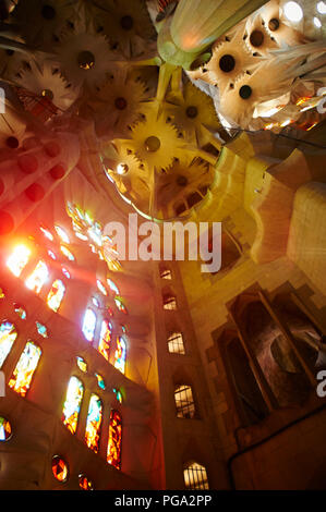 La Sagrada Familia Innenraum von Gaudi in Barcelona, Spanien Stockfoto