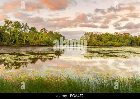 Malerischen Horseshoe Lagune in Lakefield National Park. Stockfoto