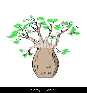 Afrikanische iconic Baum, Baobab Baum Symbol. Adansonia gregorii. Vector Illustration Stock Vektor