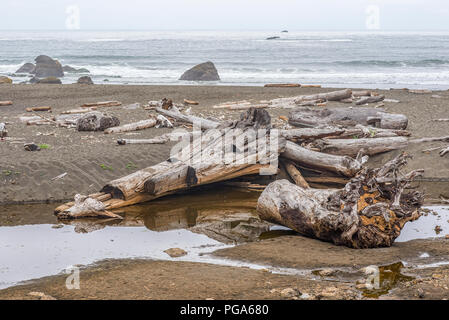 Treibholz auf Wilson Creek Strand entlang der False Klamath Cove. Redwood National- und Staatsparks, Nord Kalifornien, USA. Stockfoto