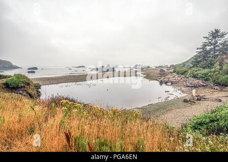 Harris Beach State Park. Südliche Küste von Oregon, USA. Stockfoto