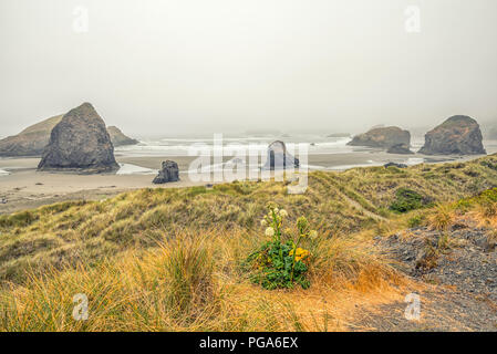 Myers Beach. Pistole Fluss-szenischen Aussichtspunkt. Südliche Küste von Oregon, USA. Stockfoto