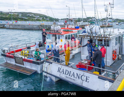 Sea anglers Rückkehr in Baltimore Harbor mit ihrem Fang. West Cork, Irland Stockfoto