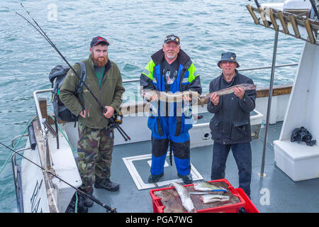 Sea anglers Rückkehr in Baltimore Harbor mit ihrem Fang. West Cork, Irland Stockfoto