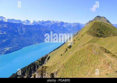 Weibliche Wanderer mit Blick auf den Brienzersee in den Schweizer Bergen - Hardergrat Trail Finisher Stockfoto