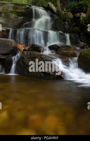 Laurel Falls Great Smoky Mountains National Park - Laurel Falls auf dem Laurel Falls Trail in Smoky Mountains of Tennessee - Lower and Upper Waterfalls Stockfoto