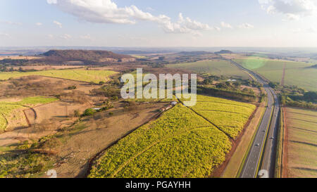 Zuckerrohrplantage Feld Luftbild mit Sonnenlicht. Landwirtschaft Industrie. Stockfoto