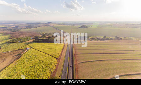 Zuckerrohrplantage Feld Luftbild mit Sonnenlicht. Landwirtschaft Industrie. Stockfoto