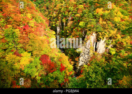 Wunderschöne Landschaft von naruko Schlucht Tal mit bunten Herbst Laub auf felsigen Klippen in Miyagi, Japan Stockfoto