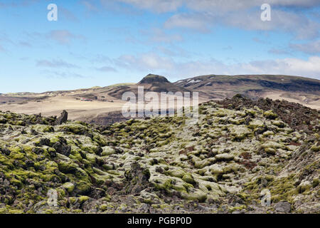 Moos bedeckt alten Lavafeld bei Skaftareldahraun, South Island Stockfoto