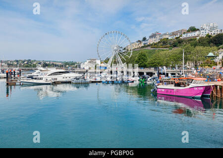 21. Mai 2018: Torquay, Devon, England, Großbritannien - die Marina und die Englische Riviera Rad an einem sonnigen Frühlingstag. Stockfoto