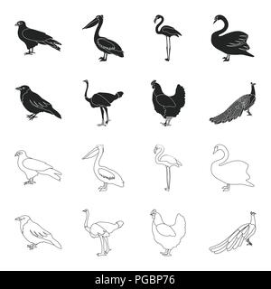 Crow, Strauß, Huhn, Pfau. Vögel stellen Sammlung Icons in Schwarz, Outline style Vektor Symbol lieferbar Abbildung. Stock Vektor