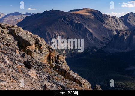 Blick auf die Rocky Mountains aus der Trail Ridge Road im Rocky Mountain National Park, Colorado, USA Stockfoto