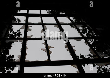 Alte kaputte Fenster in verlassenen Krankenhaus Stockfoto