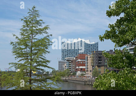 Elbphilharmonie und Dalmannkai HafenCity (Hafen City), Hamburg, Deutschland Stockfoto