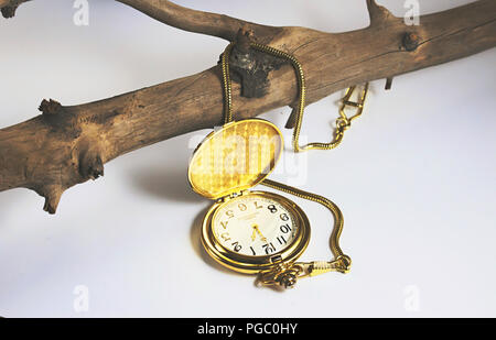 Goldene Taschenuhr gegen einen weißen Hintergrund mit einem fob-Kette hing ein Baum Zweig öffnen Stockfoto