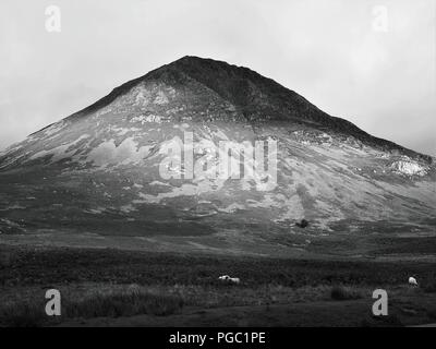 Grasmoor beleuchtet durch die untergehende Sonne, Buttermere Tal, Nationalpark Lake District, Cumbria, England, Vereinigtes Königreich Stockfoto