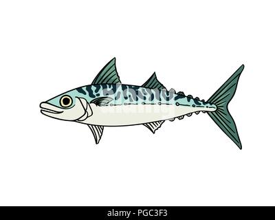 Makrele fisch Farbe Vintage Retro Stil auf weißem Vektor-illustration isoliert Stock Vektor