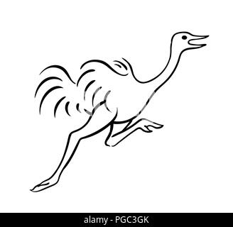 Strauß laufen Vektor-illustration Skizze der Vogel Umriss zeichnen in Schwarz auf Weiß isoliert Stock Vektor