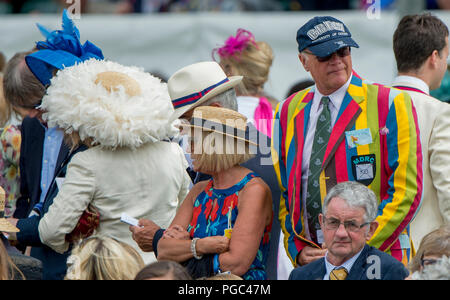 Henley auf Themse, ENGLAND, 05.07.2015, Henley Royal Regatta, Zuschauer, abgestreift Blazer, © Peter SPURRIER Stockfoto