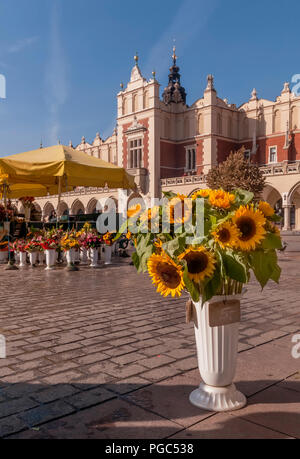 Schöne Sonnenblumen und anderen Blumen auf den Verkauf in den Marktplatz in Krakau, Polen Stockfoto