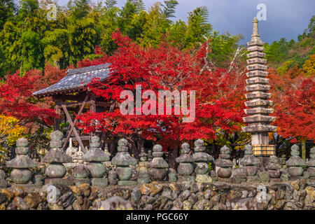 Schönen Herbst, Herbst Landschaft um an adashino Nenbutsu-ji Tempel, Sagano, Arashiyama, Kyoto, Japan Stockfoto