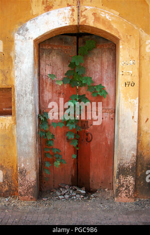 Tür in Panaji, Goa, Indien Stockfoto