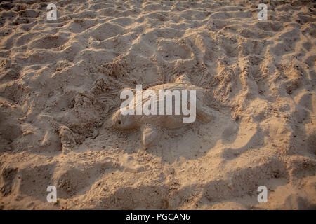 Sand Skulptur einer Meeresschildkröte. Stockfoto