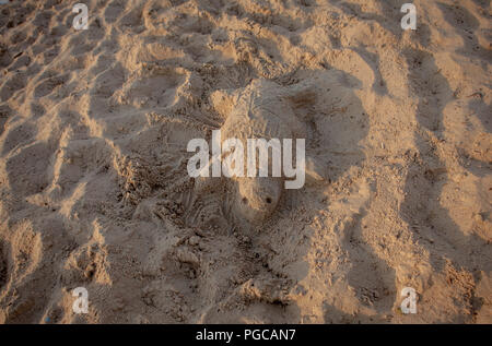 Sand Skulptur einer Meeresschildkröte. Stockfoto