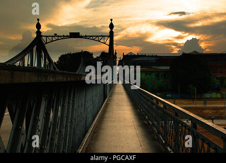 Manaus/Brasilien - Regenwald - Natur in der Mitte von Amazon. Metal Bridge Struktur aus dem letzten Jahrhundert und die traumhafte Natur rund um die Stadt. Stockfoto