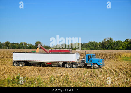 Traktor Entleerung der geerntet in einem wartenden semi und Anhänger mit einem Trichter Trichter Mais Stockfoto