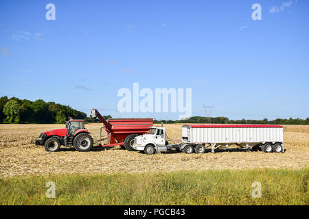 Traktor Entleerung der geerntet in einem wartenden semi und Anhänger mit einem Trichter Trichter Mais Stockfoto