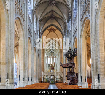 Leuven, Belgien - 19. Januar 2015: Kirchenschiff von st. Peters gotische Kathedrale Stockfoto