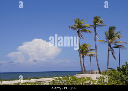 Sommer Himmel während einem schönen Nachmittag auf die Dominikanische Republik, Karibik Szene mit Kokospalmen, das Meer und den Himmel Stockfoto