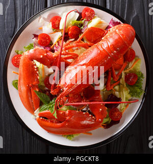 Red Lobster, serviert mit frischem Gemüse Salat auf einen Teller close-up auf einem schwarzen Hintergrund. nach oben Ansicht von oben Stockfoto