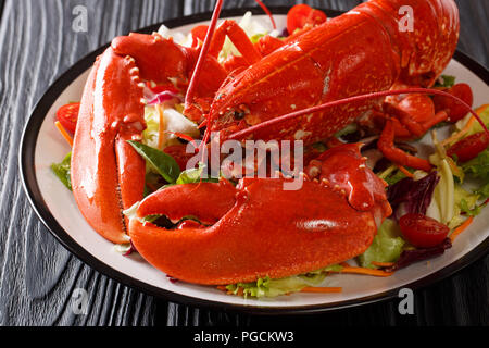 Red Lobster, serviert mit frischem Gemüse Salat auf einen Teller close-up auf einem schwarzen Hintergrund. Horizontale Stockfoto