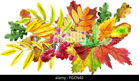 Herbst Blumen Aquarell stil Grenze Rahmen: Bunte orange gelb bordeaux-rot Herbstlaub Wald maple tree branch Beeren. Stockfoto