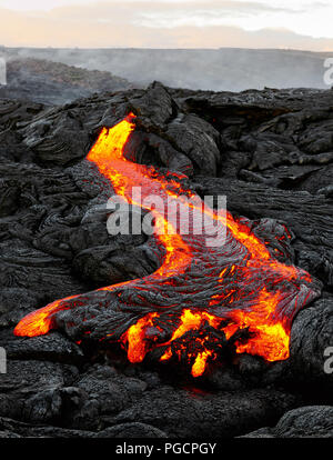 Ein Lavastrom Austritt aus einer Masse Spalte und fließt in einem schwarzen vulkanischen Landschaft, in den Himmel zeigt das erste Tageslicht - Ort: Hawaii, Big Island, Stockfoto