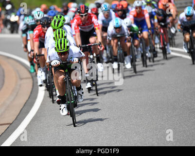 Merzig, Deutschland. 25 Aug, 2018. Radfahren, UCI Europeanseries, Deutschland Tour, Trier - Merzig (177, 00 Km), Stufe 3: Das Feld geht nach unten auf der Saar in der Nähe von Merzig. Quelle: Bernd Thissen/dpa/Alamy leben Nachrichten Stockfoto