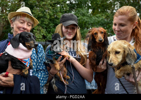 London, Großbritannien. 25. August 2018. Wurst Hunde (Dackel), die von ihren Eigentümern in die Parade in Smithfield 150, eine Feier anläßlich des 150. Jahrestages der Smithfield Märkte in Farringdon. Credit: Stephen Chung/Alamy leben Nachrichten Stockfoto