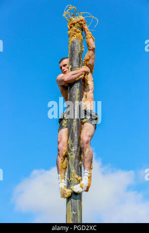 Irvine, UK. 25. Aug 2018. Klettern die Klettermast, ein 10 Meter telegraphenmast in der Achse Fett bedeckt, ist eines der beliebtesten öffentlichen Wettbewerben der jährlichen Marymass Festival in Irvine, Ayrshire, UK. Die Wettbewerber haben die Pole in der schnellsten Zeit möglich zu klettern und eine Tasche mit einem Schinken Bein nach oben gebunden entfernen. Der diesjährige Gewinner, Cameron Affleck aus Irvine konnte gerade seinen eigenen Rekord von 1 Minute 46 Sekunden zu schlagen, aber trotzdem war der Schinken Bein so einen Preis verliehen. Credit: Findlay/Alamy leben Nachrichten Stockfoto