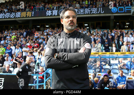 Huddersfield, Großbritannien. 25. Aug 2018. Huddersfield Town Manager David Wagner sieht aus dem technischen Bereich. Premier League match, Huddersfield Town v Cardiff City an der John Smith's Stadion in Huddersfield, West Yorkshire am Samstag, den 25. August 2018. Nur die redaktionelle Nutzung, eine Lizenz für die gewerbliche Nutzung erforderlich. Keine Verwendung in Wetten, Spiele oder einer einzelnen Verein/Liga/player Publikationen. pic von Chris Stading/Andrew Orchard sport Fotografie/Alamy leben Nachrichten Stockfoto