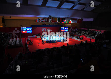 Jakarta, Indonesien. Credit: MATSUO. 24 Aug, 2018. Allgemeine Ansicht Boxen: JIExpo Kemayoran Halle C während der 2018 Jakarta Palembang Asian Games in Jakarta, Indonesien. Credit: MATSUO. K/LBA SPORT/Alamy leben Nachrichten Stockfoto