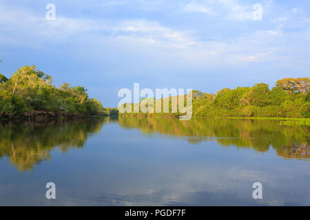 Panorama vom Pantanal, brasilianische Feuchtgebiet Region. Schiffbaren Lagune. Südamerika-Wahrzeichen Stockfoto