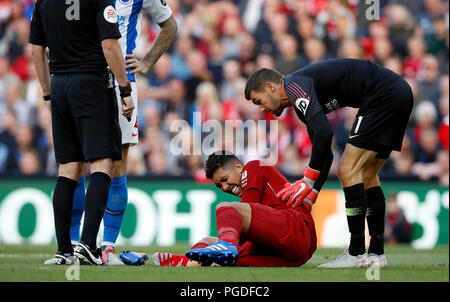 Liverpools Roberto Firmino reagiert der Schmerzen nach Kollision mit Brighton & Hove Albion Torhüter Matthew Ryan (rechts) während der Premier League Match in Liverpool, Liverpool. Stockfoto