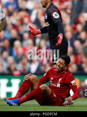 Liverpools Roberto Firmino reagiert der Schmerzen nach Kollision mit Brighton & Hove Albion Torhüter Matthew Ryan (oben) während der Premier League Match in Liverpool, Liverpool. Stockfoto